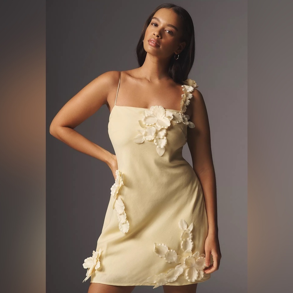 NWT! Anthropologie Hutch 3D Floral Appliqué Linen Blend Mini Dress 📊